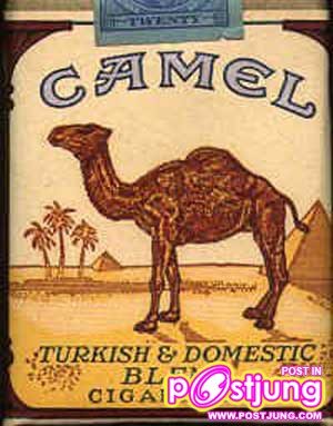 อันดับที่ 4 ได้แก่ Camel