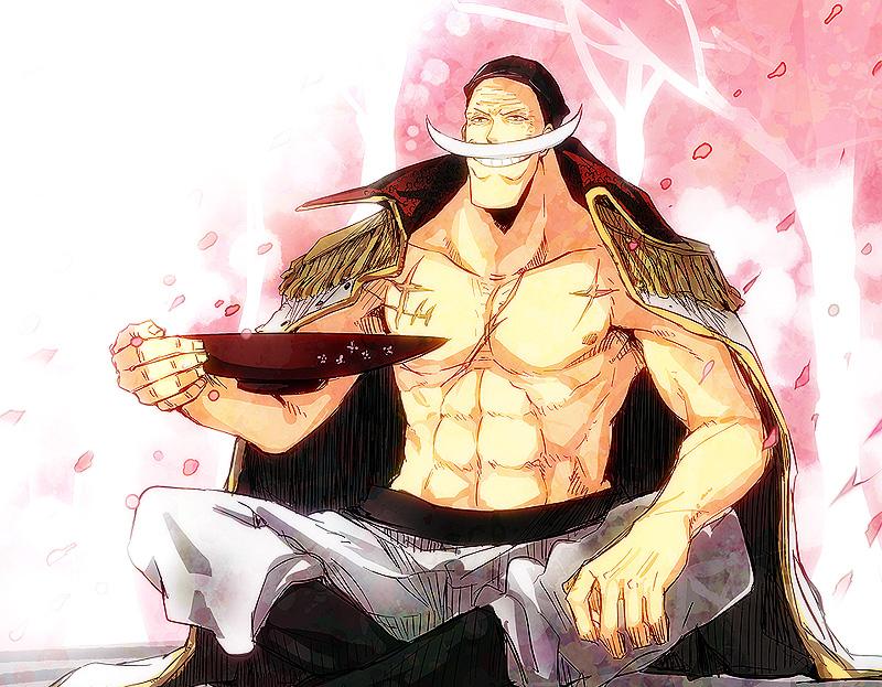 ONE PIECE [MARCOxACE]