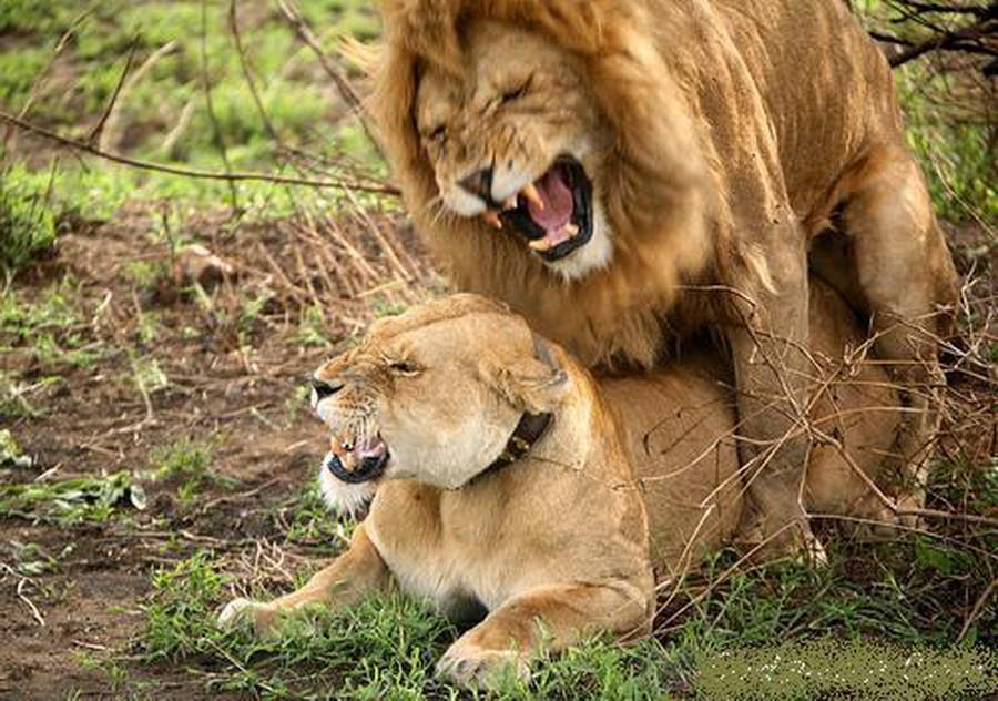 อ่าาาาา