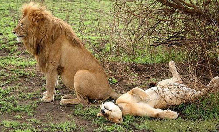 เสดแล้วสบายรู