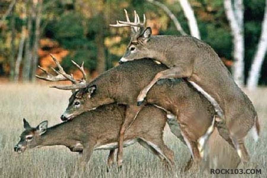 หมู่อีกคู่