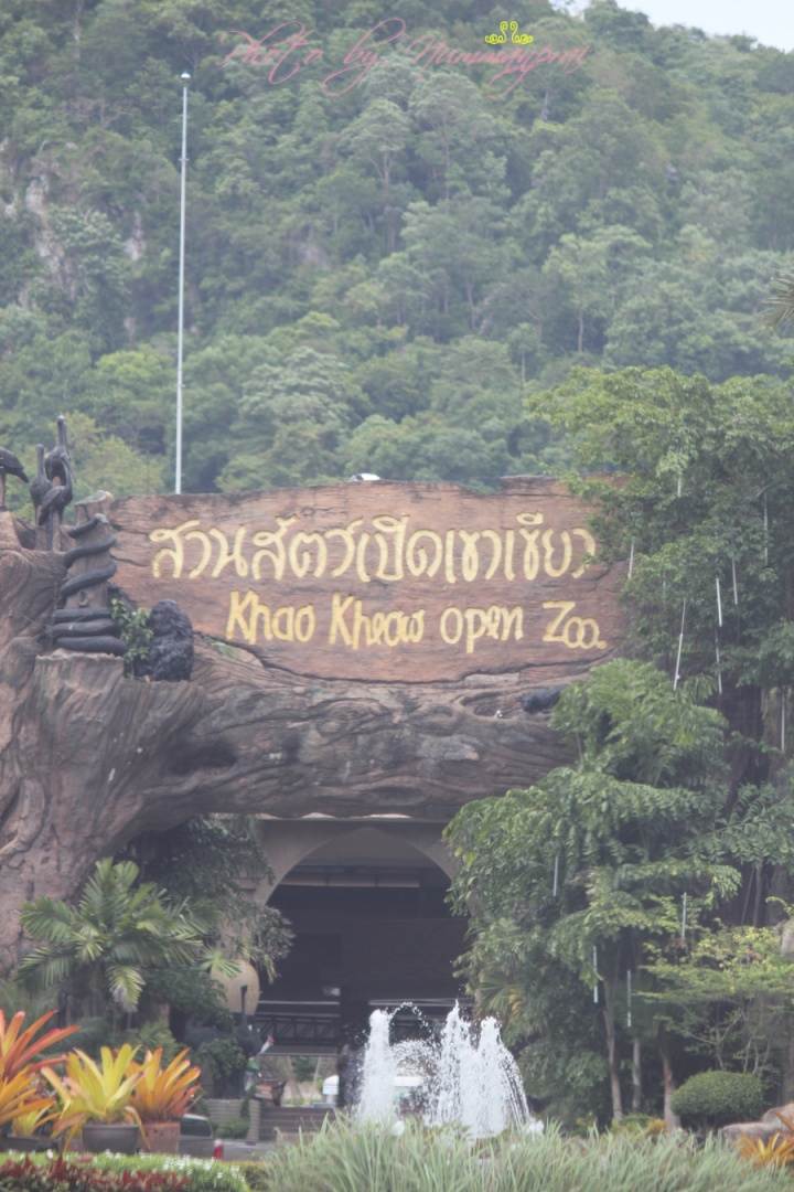 สวนสัตว์เปิดเขาเขียว