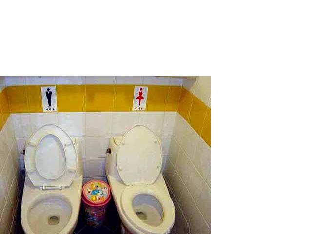 Toilets of the world