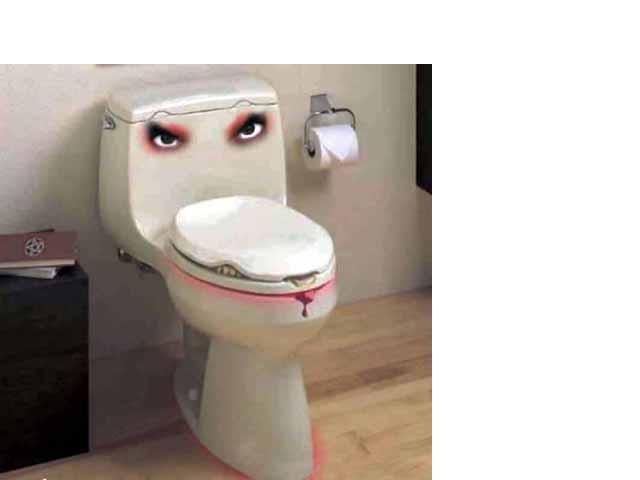 Toilets of the world