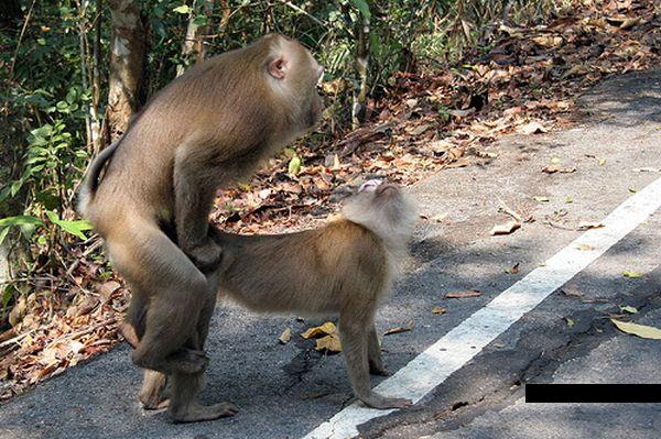 หลุด..เด็กลพบุรี(เขาว่า)เมาเบียร์ ...กันแบบไม่อาย18+