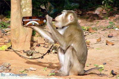 หลุด..เด็กลพบุรี(เขาว่า)เมาเบียร์ ...กันแบบไม่อาย18+