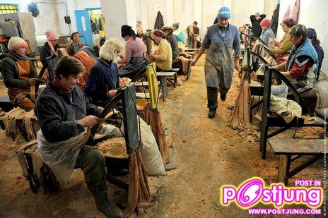 @-ตัวมิ๊งค์..(น่ารักมากๆ)สัตว์ที่ทำไมมนุษย์ต้องฆ่า!