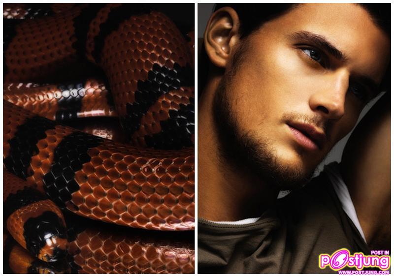 Photoshoot men album 239