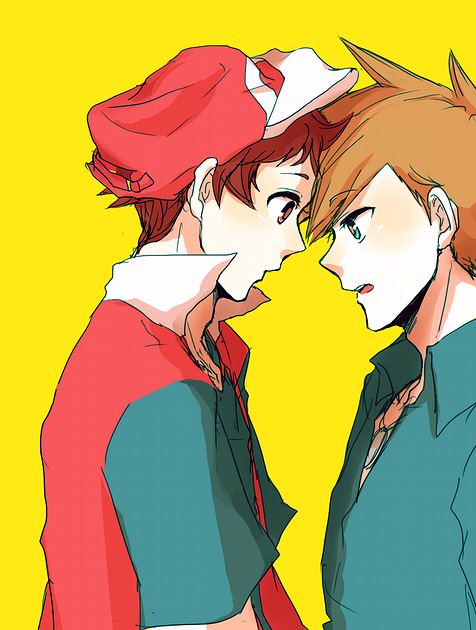 เพื่อนของโปเกม่อน