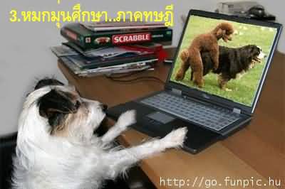 ยุทธวิธีการหาแฟนแบบเฉียบพลัน!!!