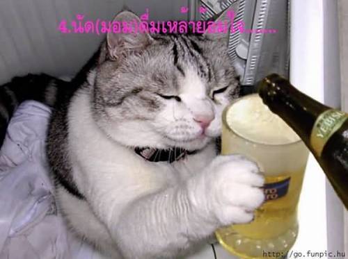 ยุทธวิธีการหาแฟนแบบเฉียบพลัน!!!