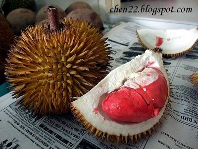 ทุเรียนเนื้อสีเลือด ส่งตรงจากเกาะบอเนียว