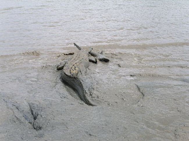 พี่หลาม ปะทะ น้องเข้