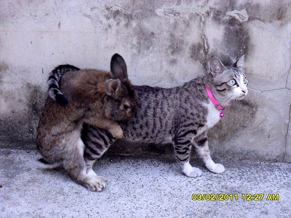 รวมฮิต @ Fail 18+ เจ้าค่ะ