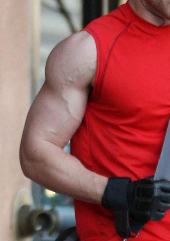 แวมไพร์หนุ่ม kellan lutz