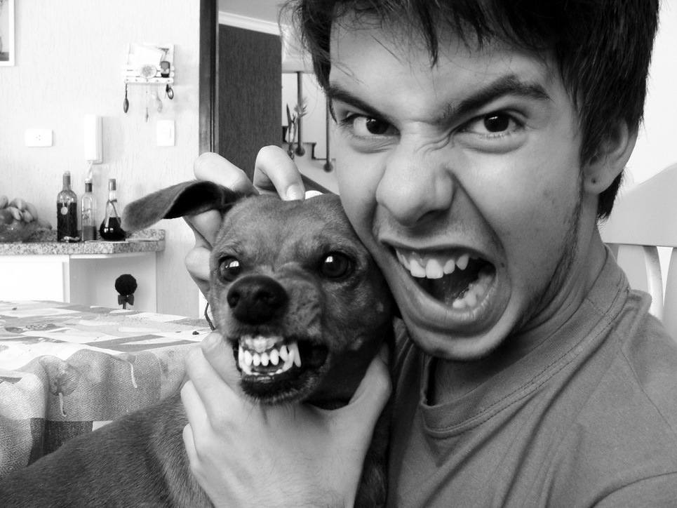 หนุ่มๆกับน้องหมา