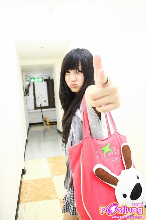 ทีน่า (ใหม่)