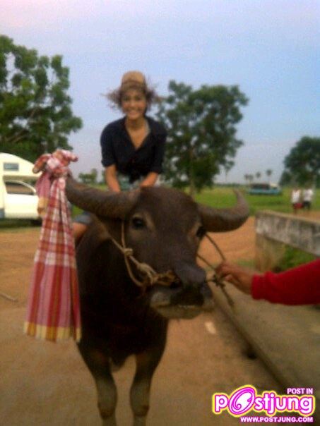 ปุ๊กลุ๊ค #4