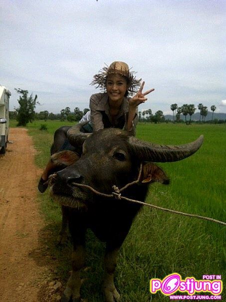 ปุ๊กลุ๊ค #4