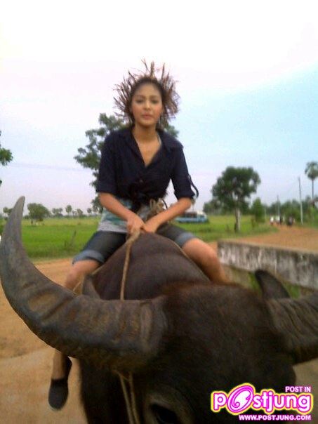 ปุ๊กลุ๊ค #4