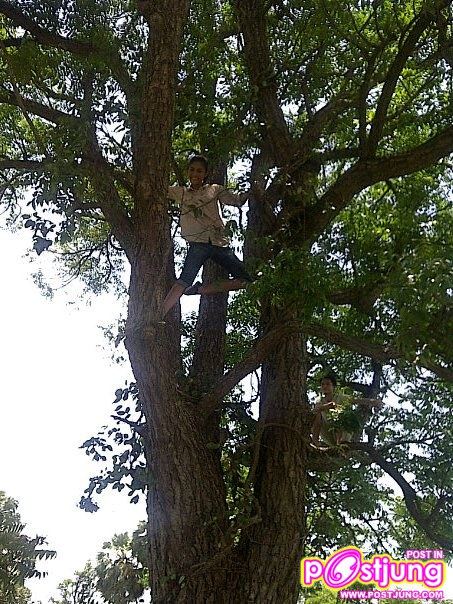 ปุ๊กลุ๊ค #4