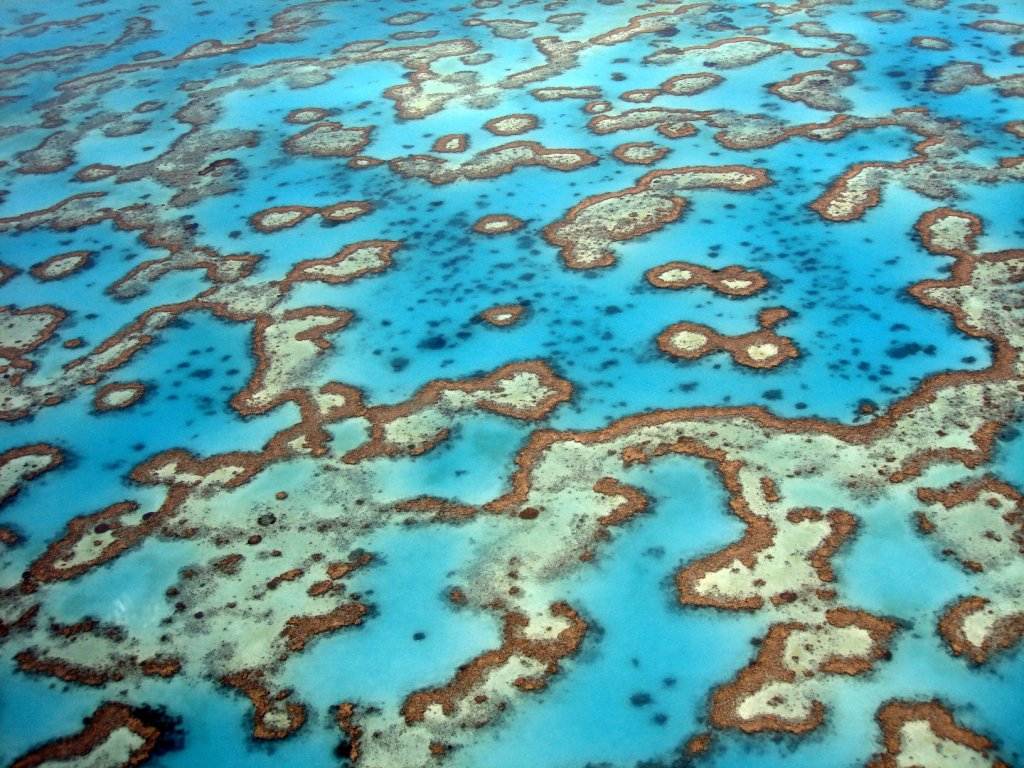 Great Barrier Reef,Australia