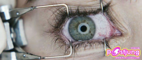 Final Destination 5 -โกงตายสุดขีด