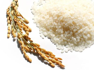 พานไหว้ครู บริหารธุรกิจ 2554 ม.เเม่โจ้