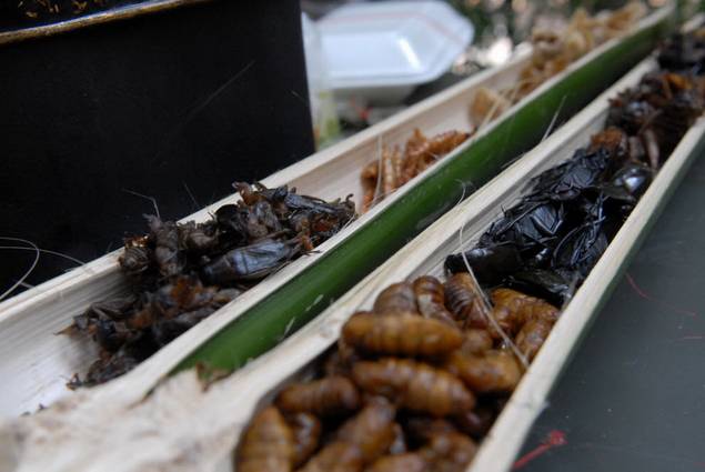 ทหารต่างชาติอึ้ง วิธีเอาตัวรอด แบบฉบับ ทหารไทย