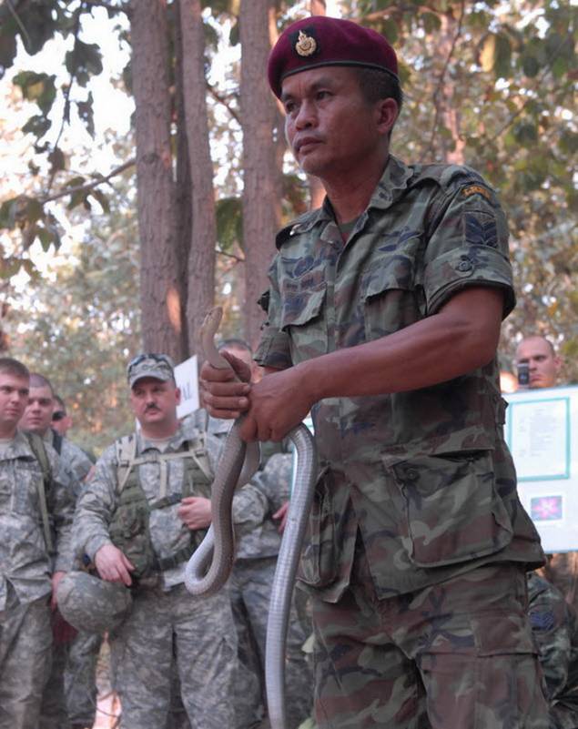 ทหารต่างชาติอึ้ง วิธีเอาตัวรอด แบบฉบับ ทหารไทย