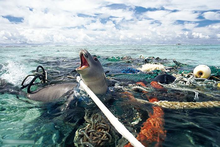 นี่หรือคือมนุษย์ !?!