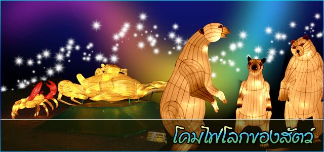 โคมไฟเมืองหาดใหญ่(เทศบาลนครหาดใหญ่)