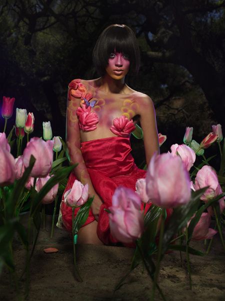 4 ดอกทิวลิป