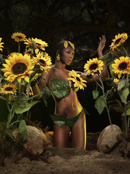 5 ดอกทานตะวัน