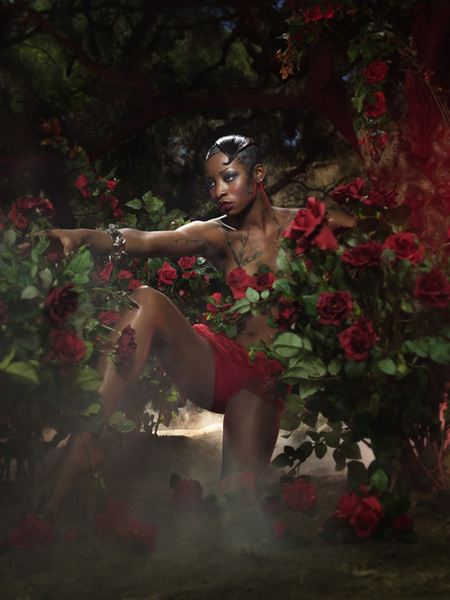 6 ดอกกุหลาบ