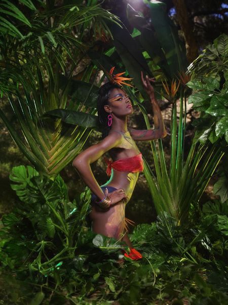 9 ดอกปักษาสวรรค์