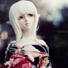 :: dollfie ::