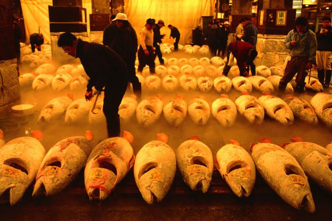 5 Tsukiji Fish Market, Japan