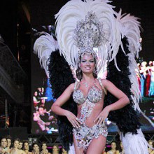 Miss Universo Argentina's national costume  2011