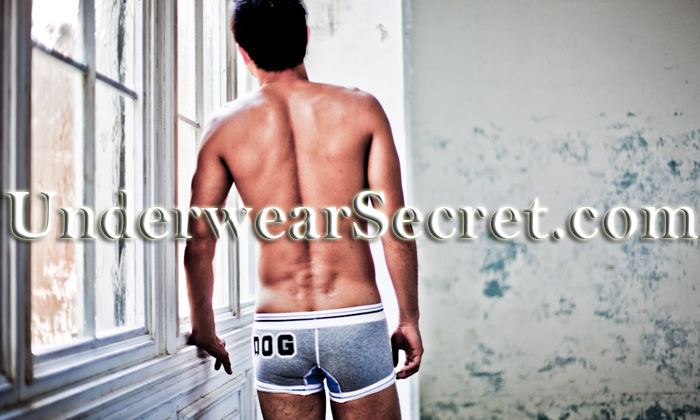 นายแบบญี่ปุ่น กางเกงในชาย TOOT