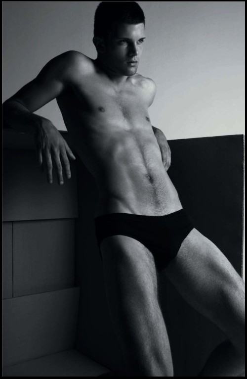 เหล่านายแบบในกล่องกระดาษ