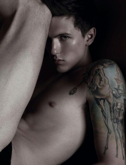 เหล่านายแบบในกล่องกระดาษ