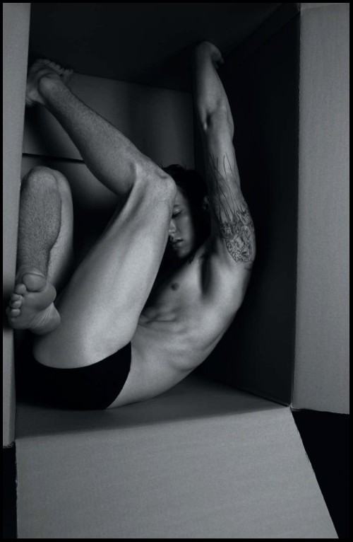 เหล่านายแบบในกล่องกระดาษ