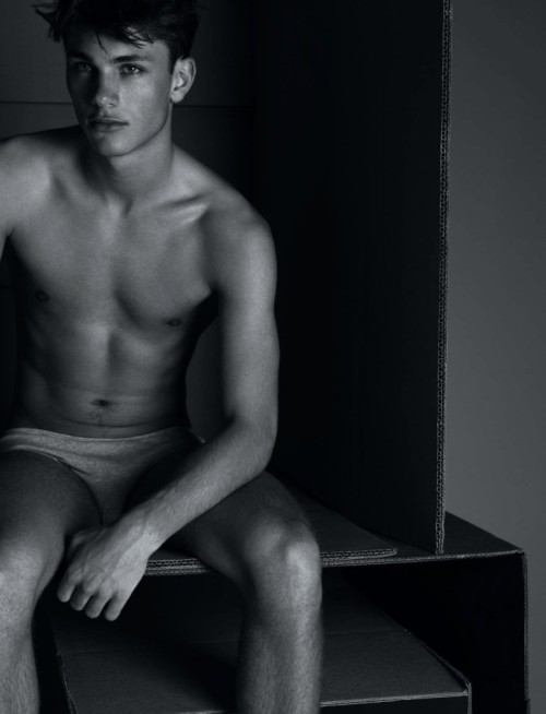 เหล่านายแบบในกล่องกระดาษ