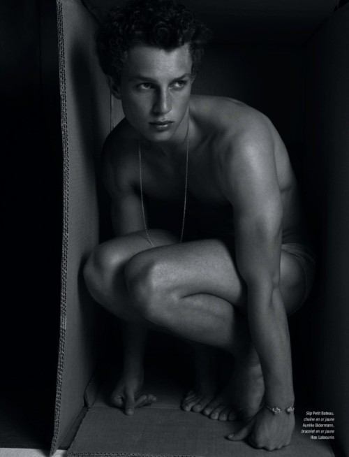 เหล่านายแบบในกล่องกระดาษ