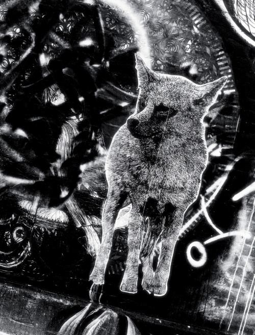 หนุ่มคาวบอยเซ็กซี่ๆ Marlon Teixeira