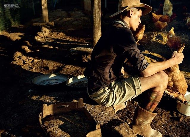 There is a Time for Everything Under the Sun