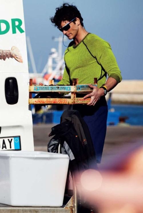 There is a Time for Everything Under the Sun