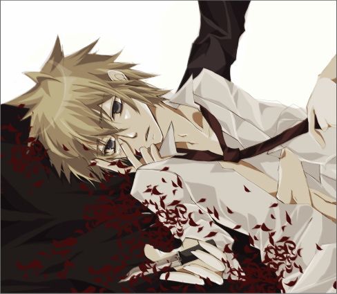 หนุ่มวายหล่อสวย