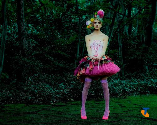 แฟชั่นชั้นสูง 1